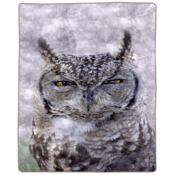Hastings Home Heavy Fleece Blanket with Owl Pattern, Thick 8 Pound Faux Mink Soft Blanket for Bed (74” x 91”) 519670TQG